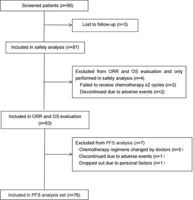 Could S-1-based non-platinum doublet chemotherapy be a new option as a second-line treatment for advanced non-small cell lung cancer patients? A multicenter retrospective study